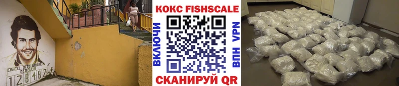 mega   Чудово  Кокаин Эквадор 