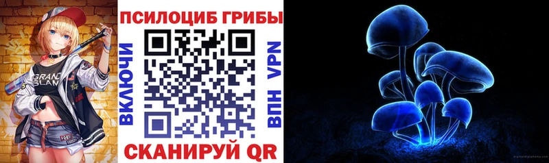 Галлюциногенные грибы Psilocybe  Чудово 