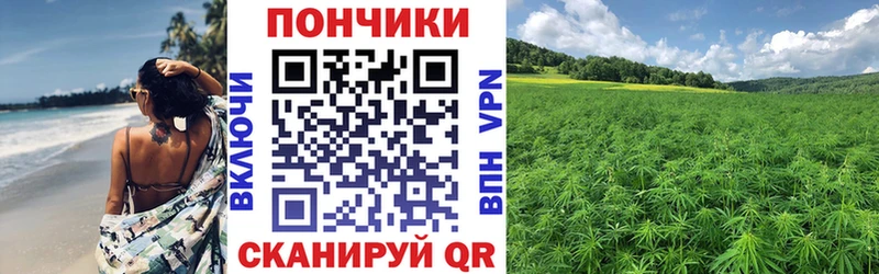 сайты даркнета телеграм  Чудово  Бошки Шишки THC 21%  сколько стоит 